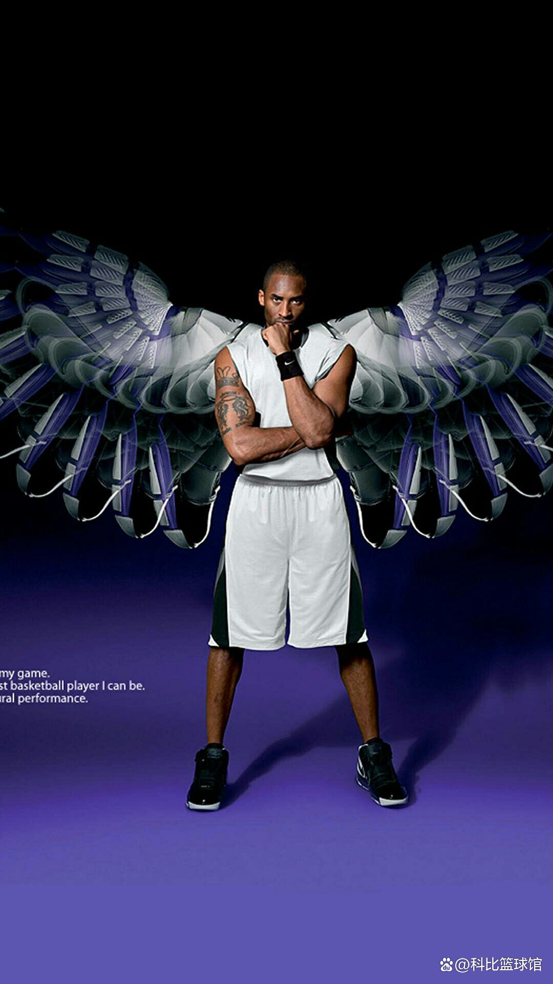 的标题变体 的标题变体